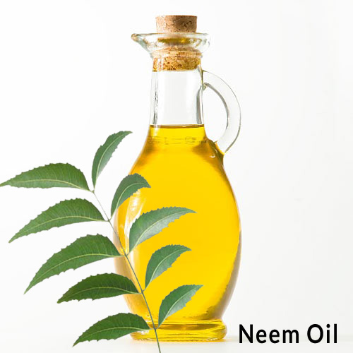 Neem-Oil
