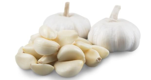 Garlic