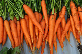 Raw carrots