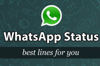 Whatsapp Status